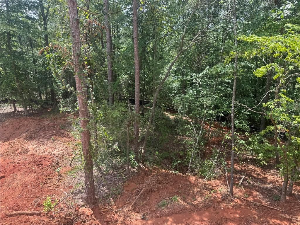 5 bedroom, 5 bathroom, 3,681 sq ft single family residence for sale at 158 Blackberry Court, Pendergrass, GA 30567 — photo 10