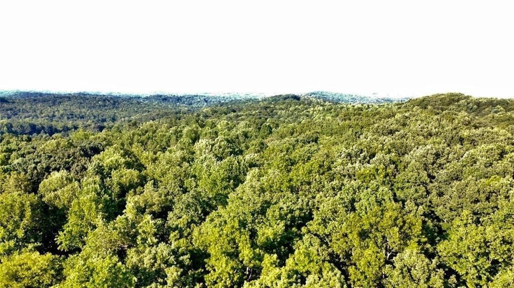unimproved land for sale at 6280 Dawsonville Highway, Dawsonville, GA 30534 — photo 4