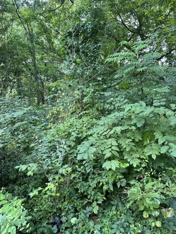 single family residence for sale at 200 Canton Street, Canton, GA 30114 — photo 5