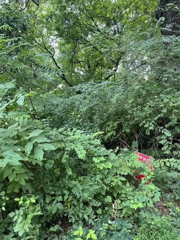 single family residence for sale at 200 Canton Street, Canton, GA 30114 — photo 8