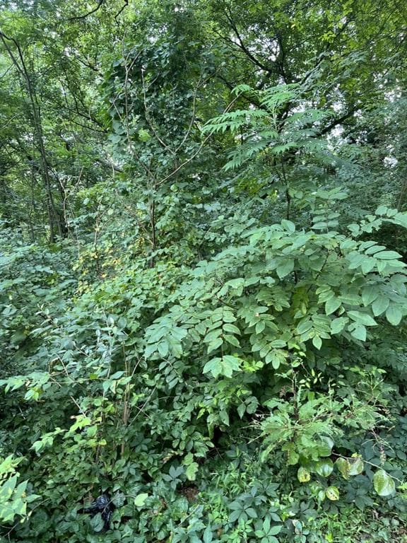 single family residence for sale at 238 Canton Street, Canton, GA 30114 — photo 4