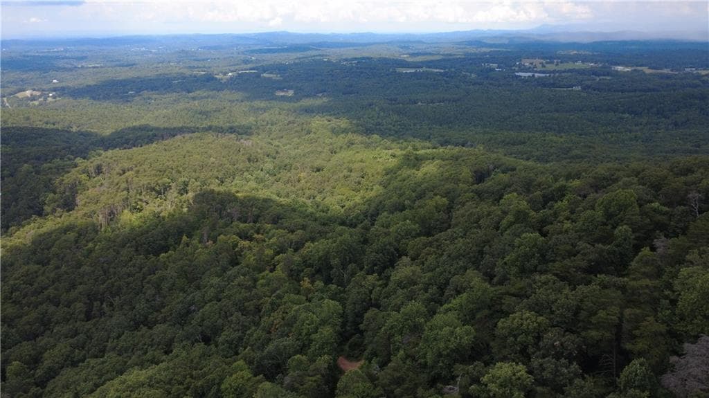 other for sale at 00 Firetower Road, Jasper, GA 30143 — photo 2
