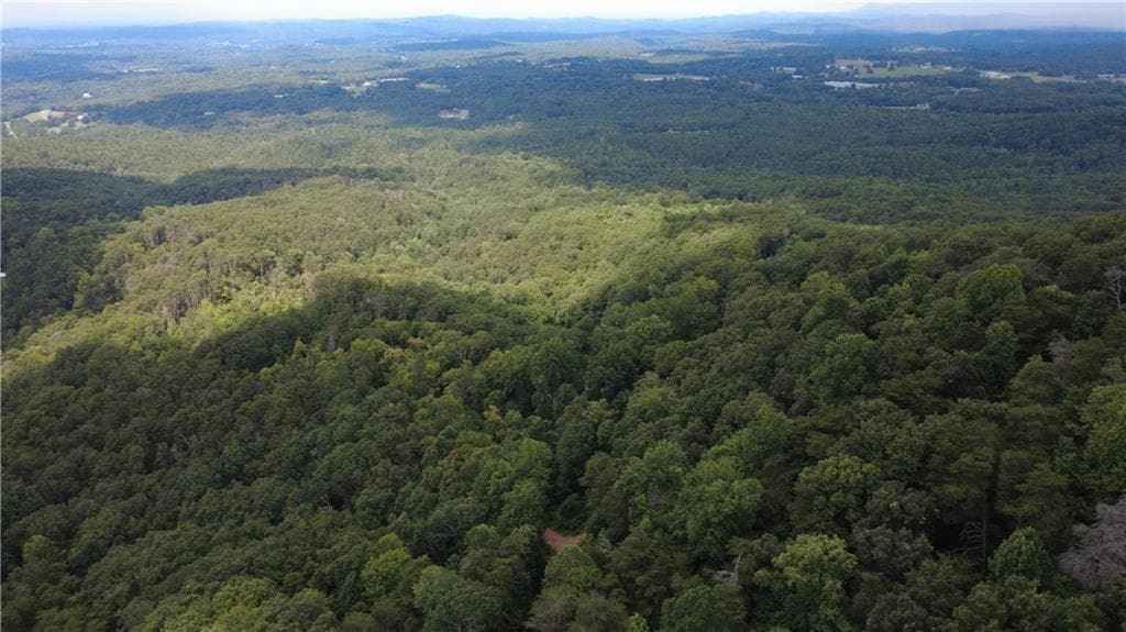 other for sale at 00 Firetower Road, Jasper, GA 30143 — photo 3
