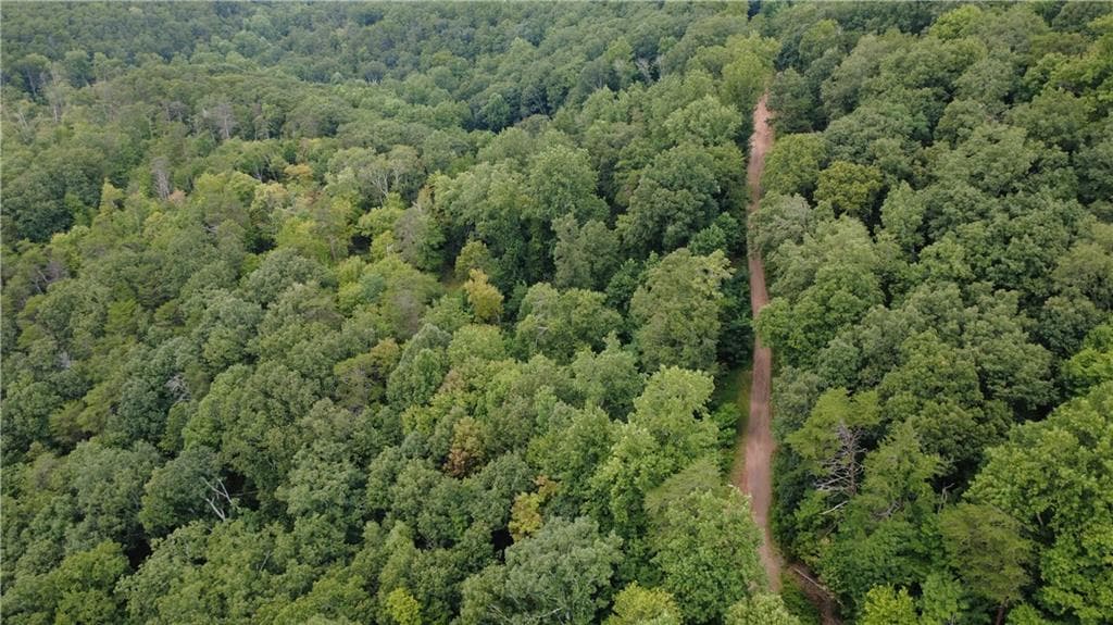 other for sale at 00 Firetower Road, Jasper, GA 30143 — photo 4