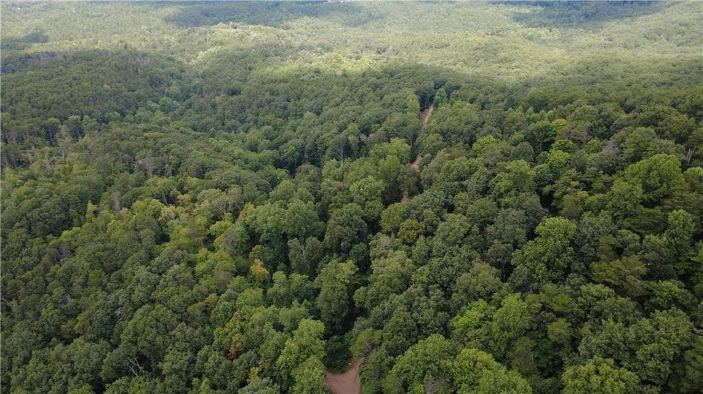 other for sale at 00 Firetower Road, Jasper, GA 30143 — photo 6