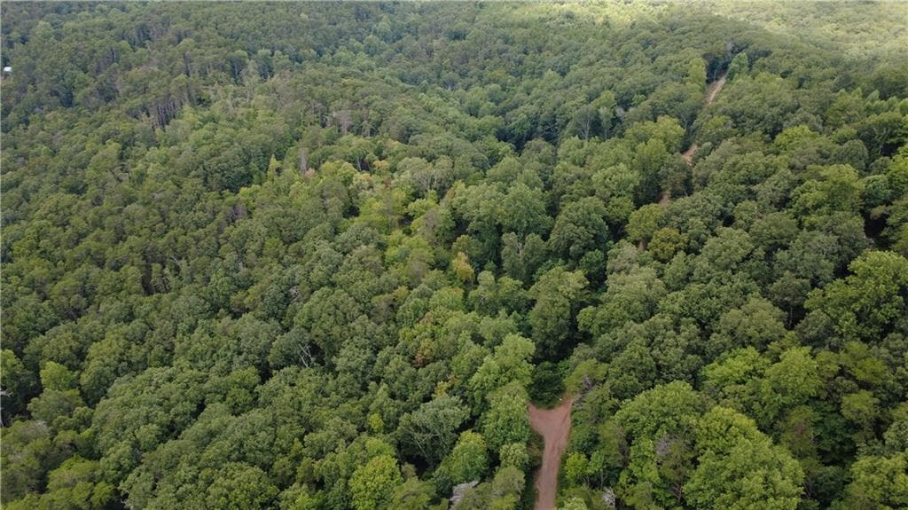 other for sale at 00 Firetower Road, Jasper, GA 30143 — photo 7