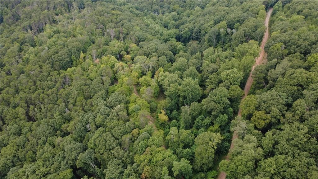 other for sale at 00 Firetower Road, Jasper, GA 30143 — photo 8