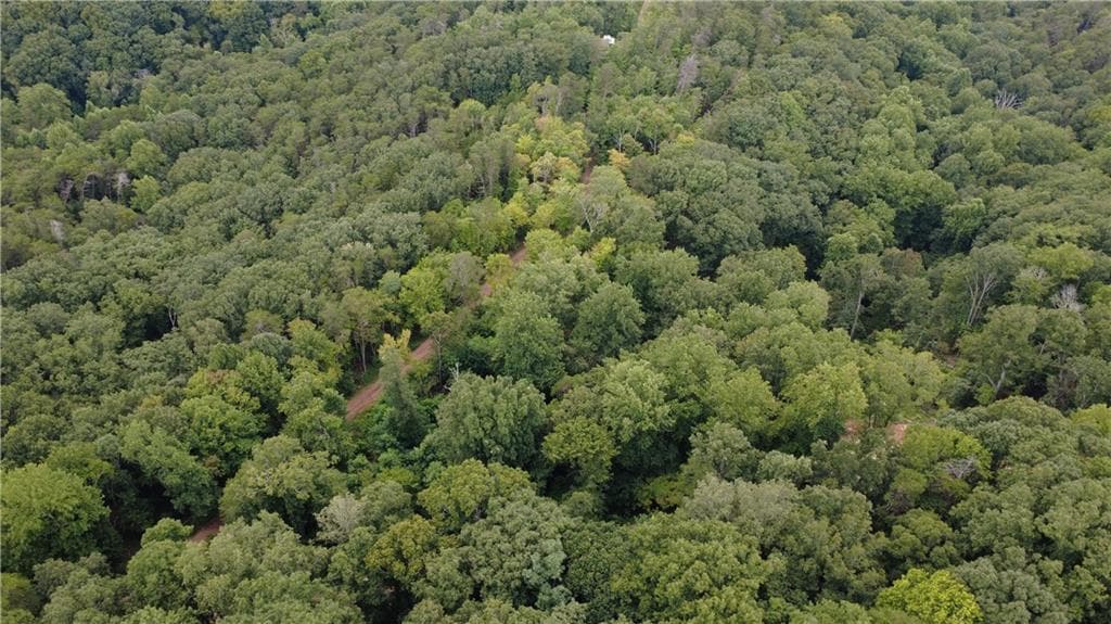 other for sale at 00 Firetower Road, Jasper, GA 30143 — photo 9
