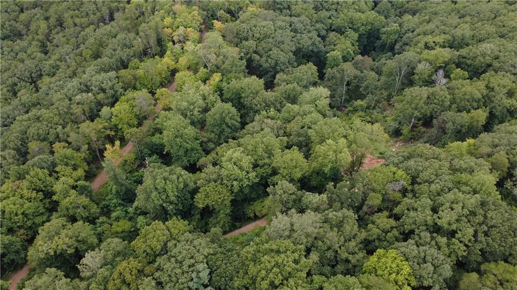 other for sale at 00 Firetower Road, Jasper, GA 30143 — photo 10