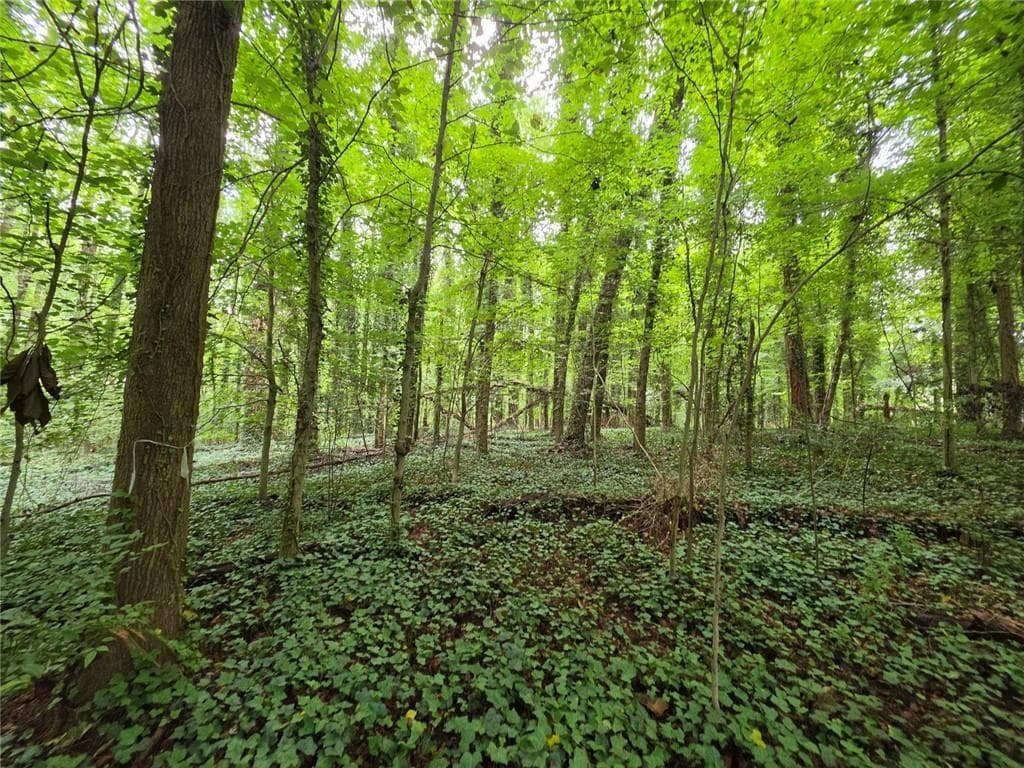 unimproved land for sale at 0 Brookwood Drive, Mableton, GA 30126 — photo 10
