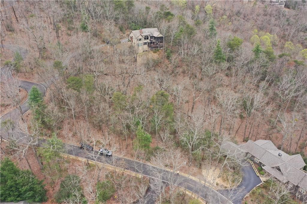 single family residence for sale at 1183 Mcelroy Mountain Drive, Big Canoe, GA 30143 — photo 6