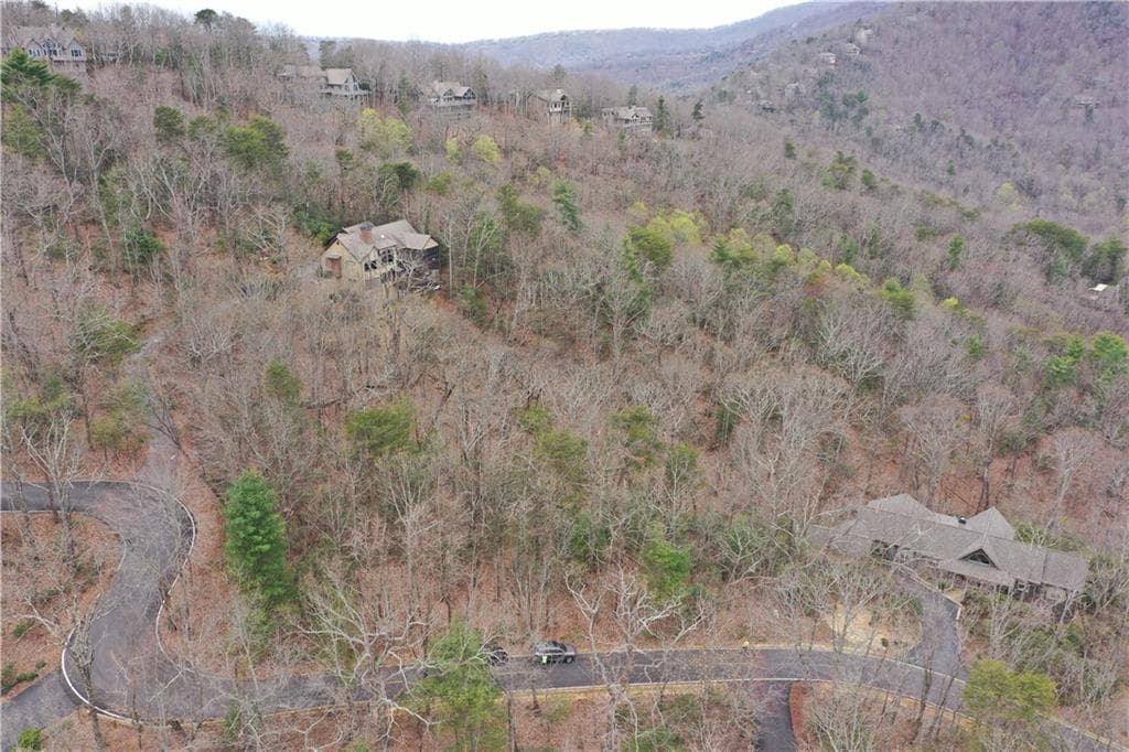 single family residence for sale at 1183 Mcelroy Mountain Drive, Big Canoe, GA 30143 — photo 7