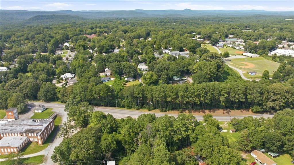 unimproved land for sale at 0 East Currahee Street, Toccoa, GA 30577 — photo 10