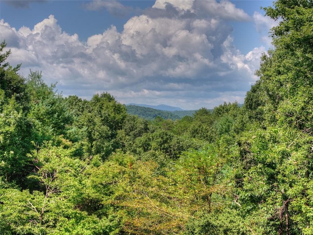 5 bedroom, 4 bathroom, 3,937 sq ft single family residence for sale at 85 Squirrel Chase, Morganton, GA 30560 — photo 7