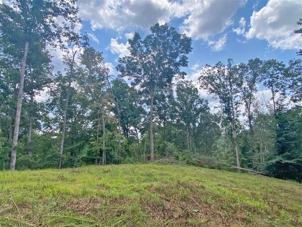 unimproved land for sale at 3.3ac Trillium Trail, Dahlonega, GA 30533 — photo 3