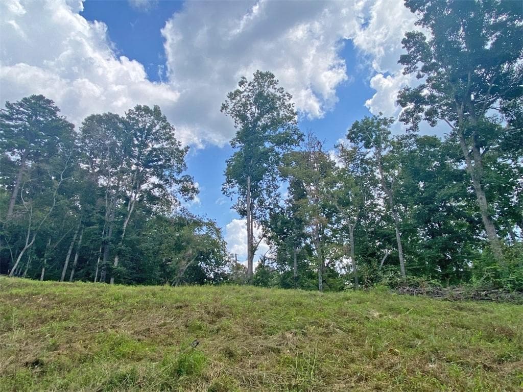 unimproved land for sale at 3.3ac Trillium Trail, Dahlonega, GA 30533 — photo 4