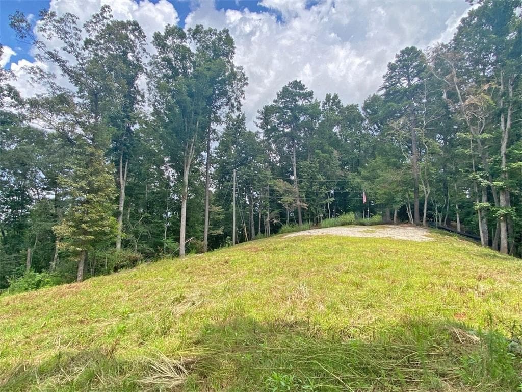 unimproved land for sale at 3.3ac Trillium Trail, Dahlonega, GA 30533 — photo 5