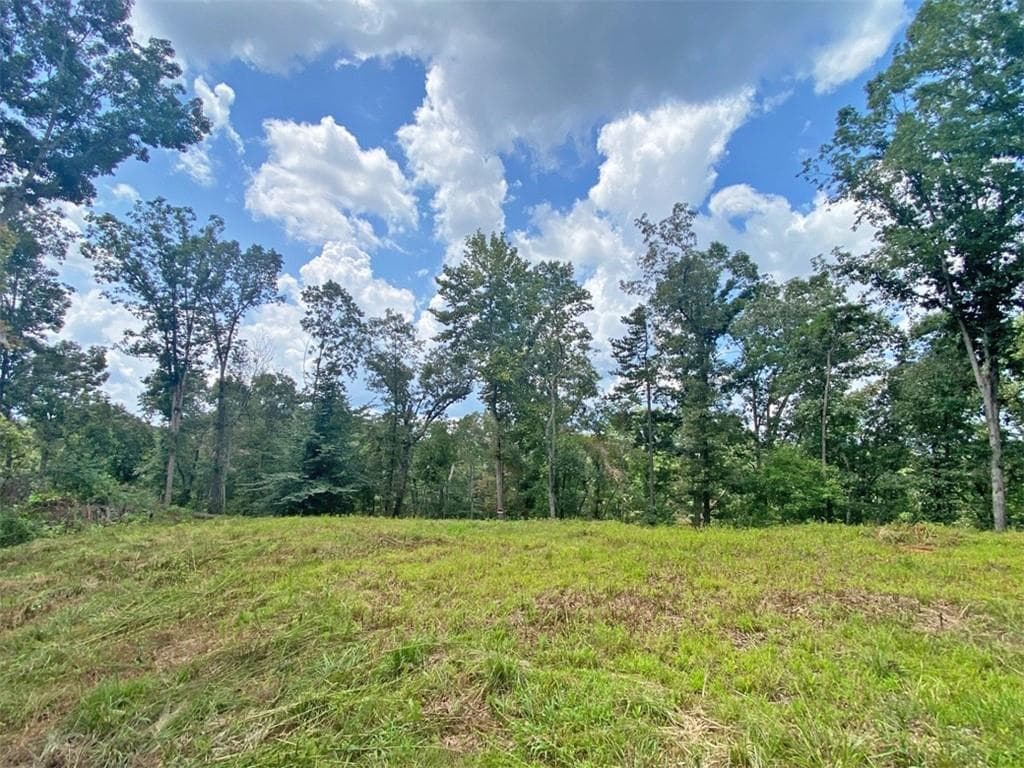 unimproved land for sale at 3.3ac Trillium Trail, Dahlonega, GA 30533 — photo 6