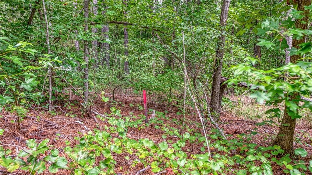 unimproved land for sale at 130 Levi Trail, Nicholson, GA 30565 — photo 7