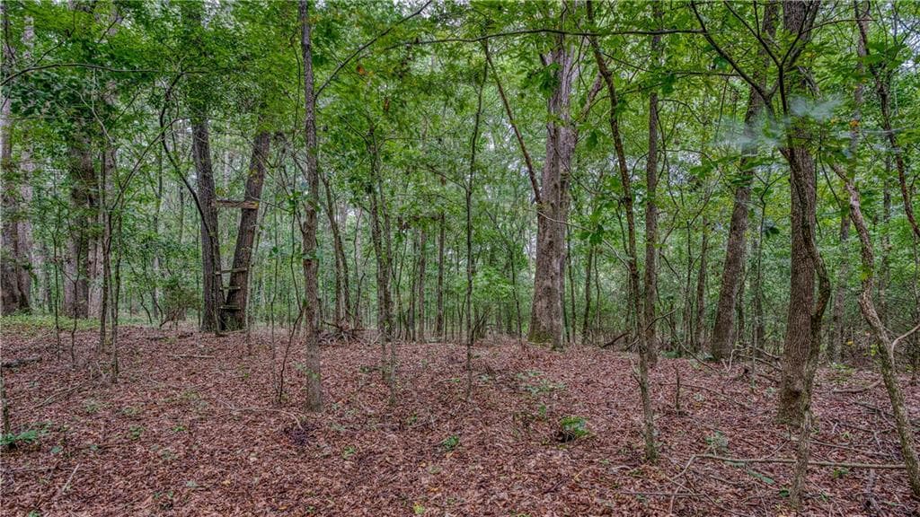 unimproved land for sale at 130 Levi Trail, Nicholson, GA 30565 — photo 8