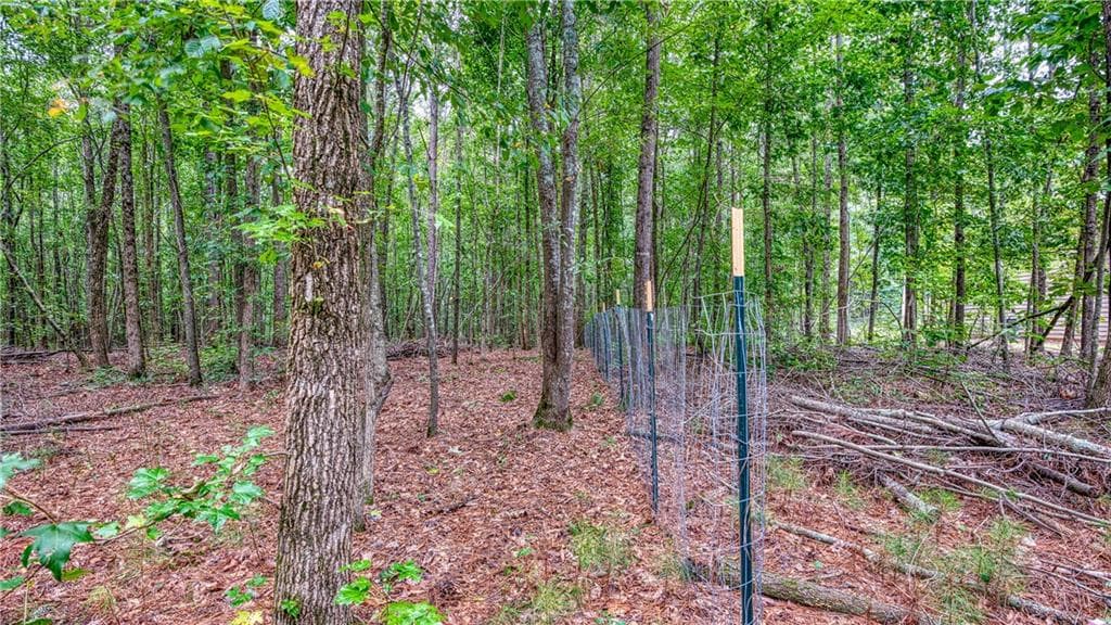 unimproved land for sale at 130 Levi Trail, Nicholson, GA 30565 — photo 9