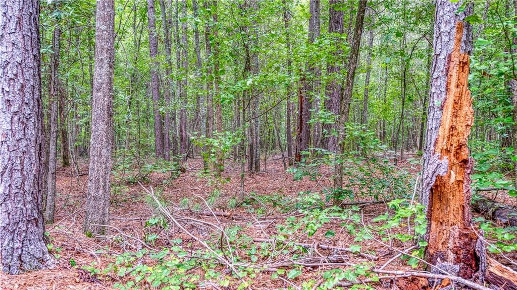 unimproved land for sale at 130 Levi Trail, Nicholson, GA 30565 — photo 10