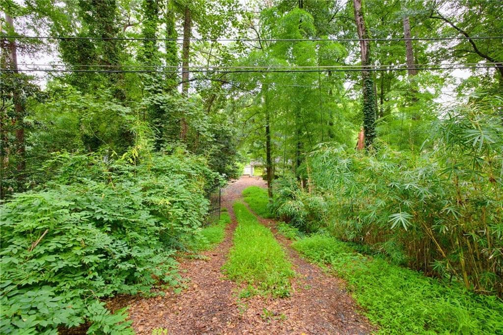 unimproved land for sale at 1909 Moores Mill Road, Atlanta, GA 30318 — photo 10