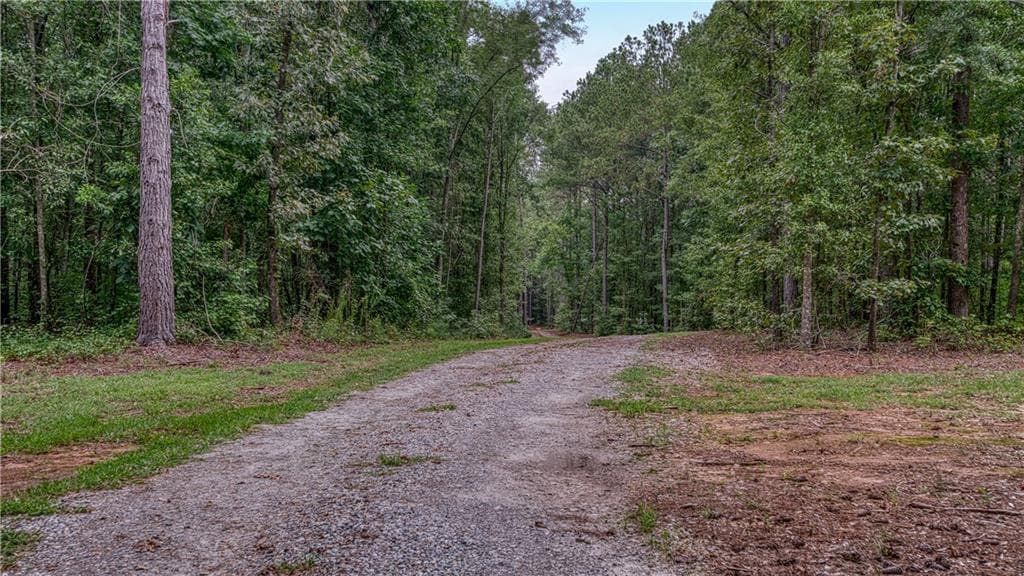 unimproved land for sale at 140 Levi Trail, Nicholson, GA 30565 — photo 5