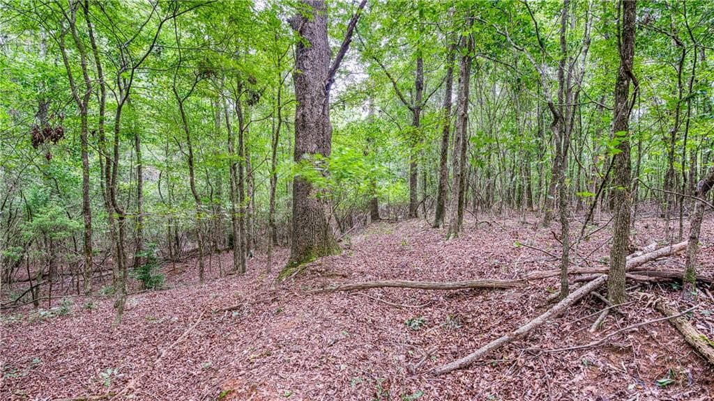 unimproved land for sale at 140 Levi Trail, Nicholson, GA 30565 — photo 6