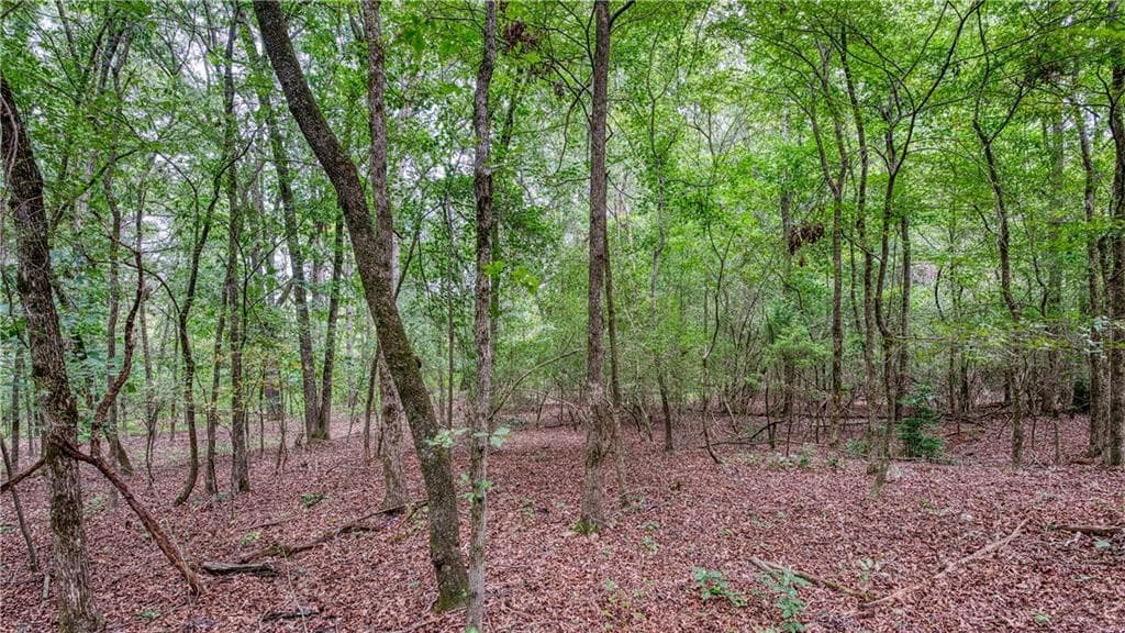 unimproved land for sale at 140 Levi Trail, Nicholson, GA 30565 — photo 7