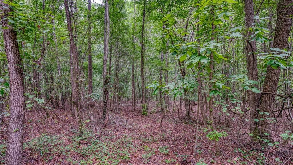 unimproved land for sale at 140 Levi Trail, Nicholson, GA 30565 — photo 8