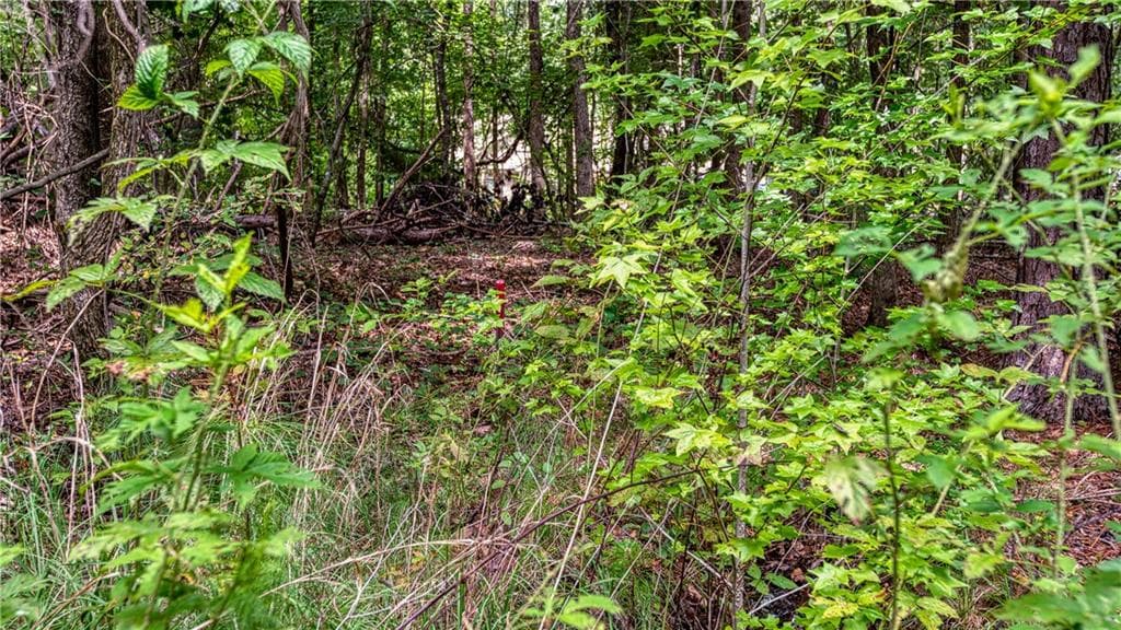 unimproved land for sale at 140 Levi Trail, Nicholson, GA 30565 — photo 9
