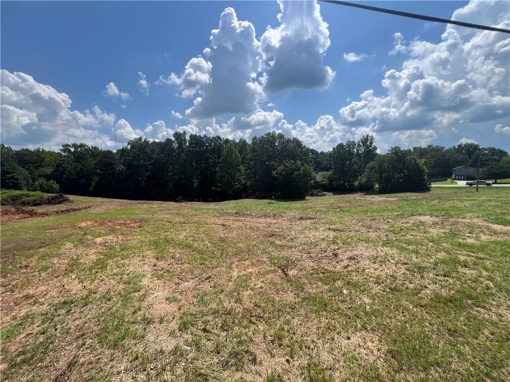 unimproved land for sale at 6997 N Baggett Road, Douglasville, GA 30134 — photo 3