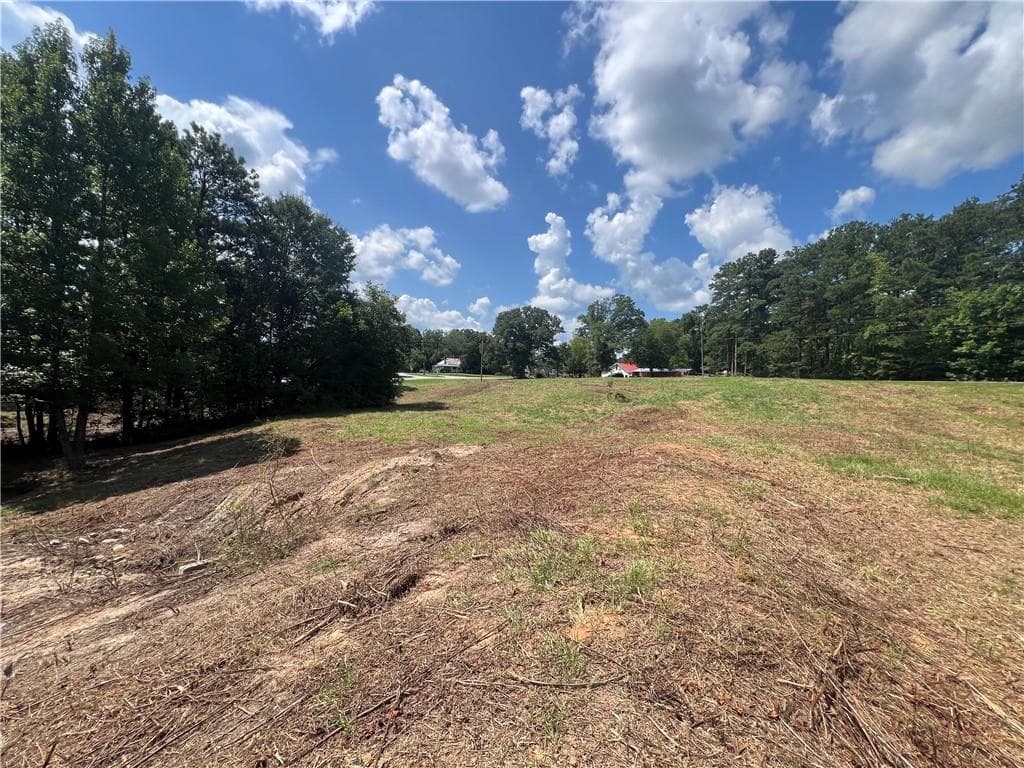unimproved land for sale at 6997 N Baggett Road, Douglasville, GA 30134 — photo 4