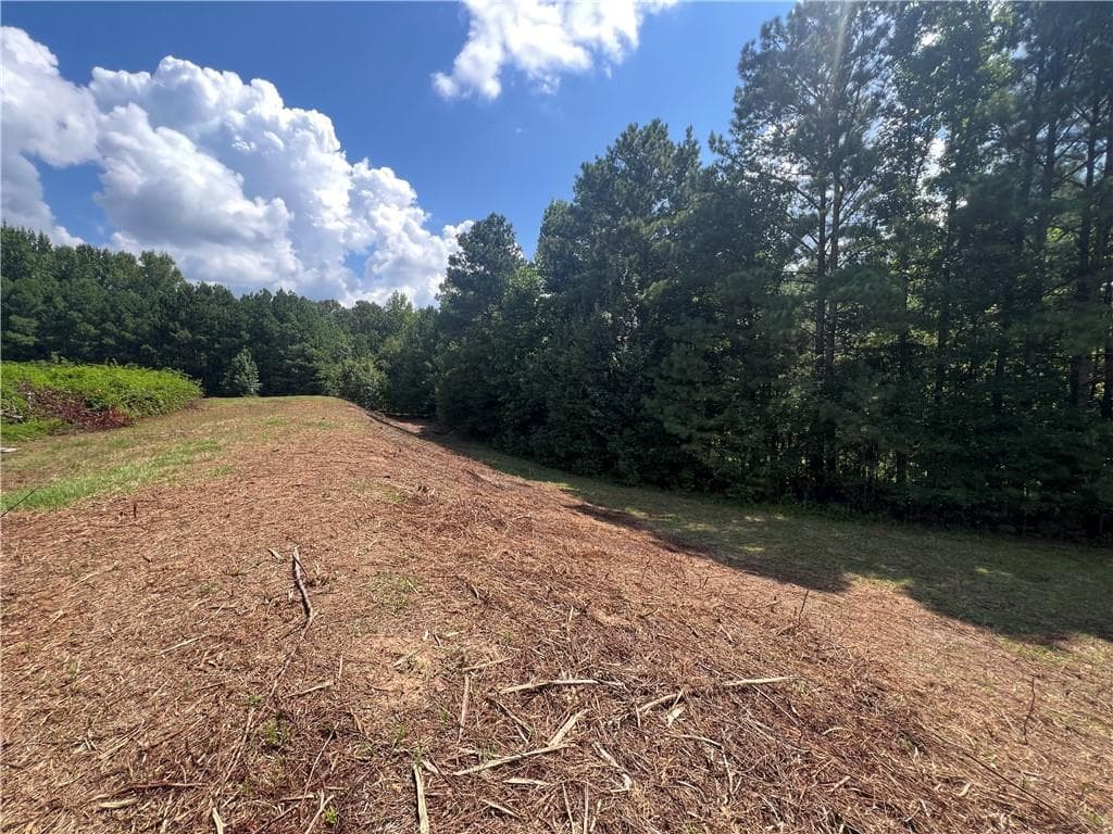 unimproved land for sale at 6997 N Baggett Road, Douglasville, GA 30134 — photo 5