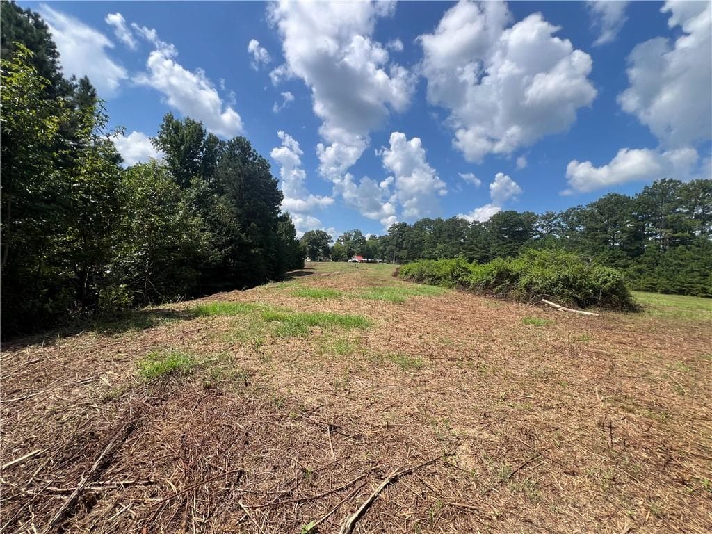 unimproved land for sale at 6997 N Baggett Road, Douglasville, GA 30134 — photo 6