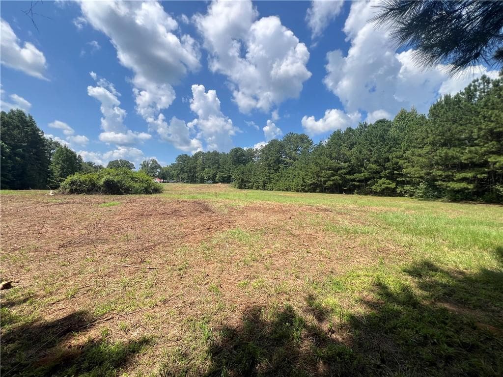 unimproved land for sale at 6997 N Baggett Road, Douglasville, GA 30134 — photo 7