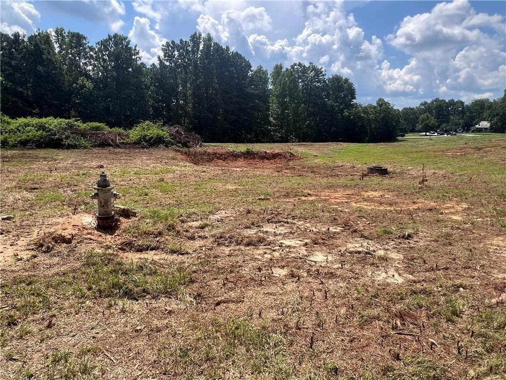 unimproved land for sale at 6997 N Baggett Road, Douglasville, GA 30134 — photo 8