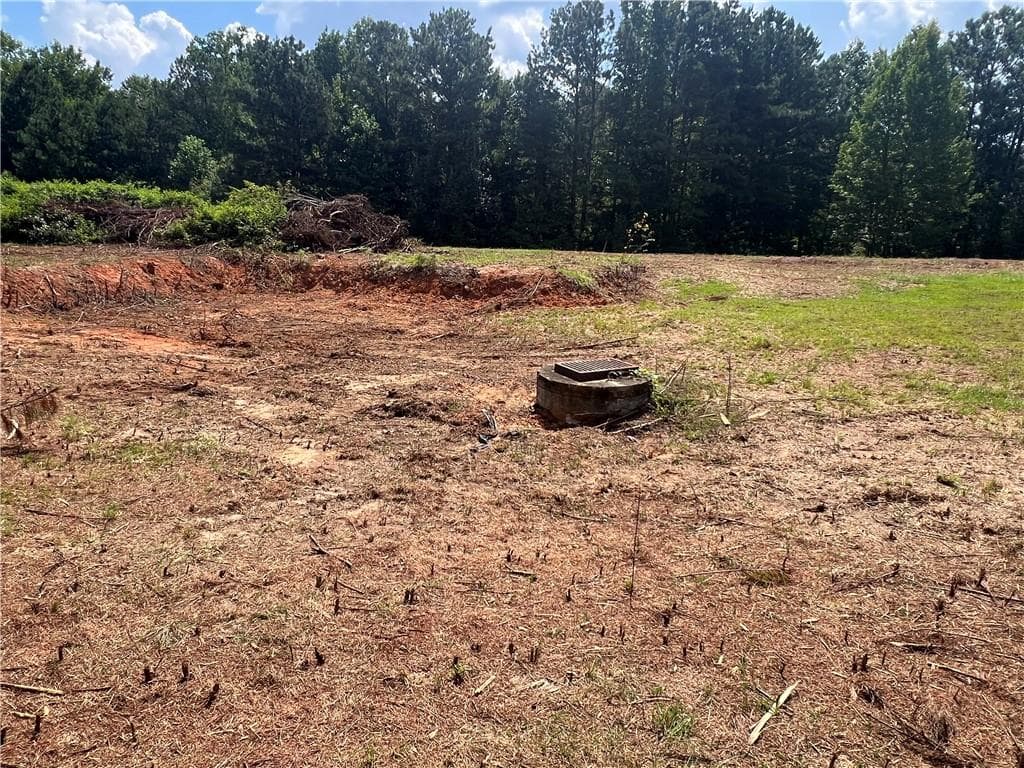 unimproved land for sale at 6997 N Baggett Road, Douglasville, GA 30134 — photo 9