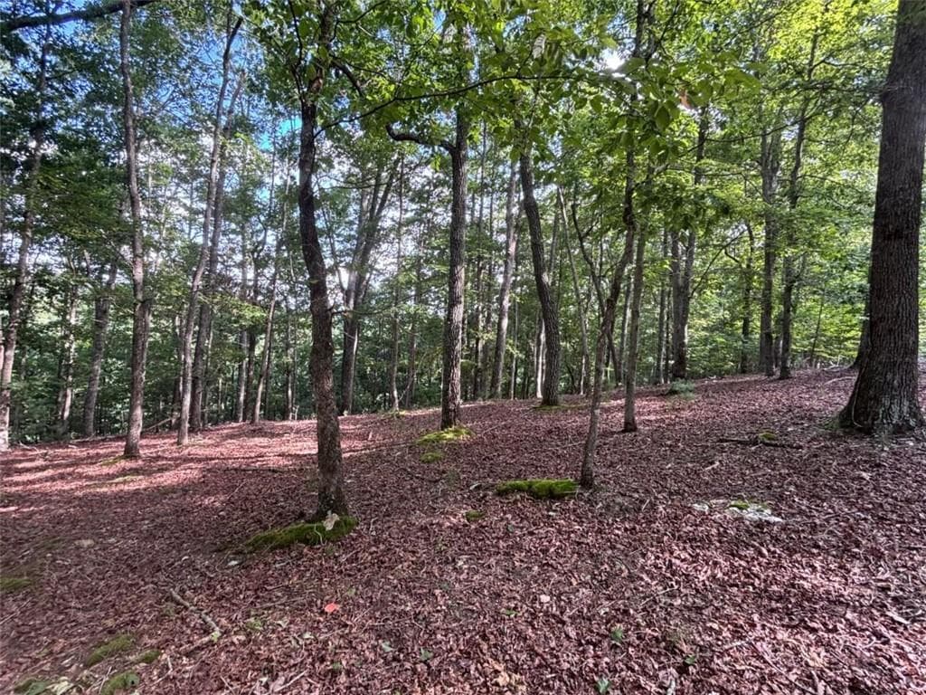 single family residence for sale at LOT 5 Westwood Avenue, Blairsville, GA 30512