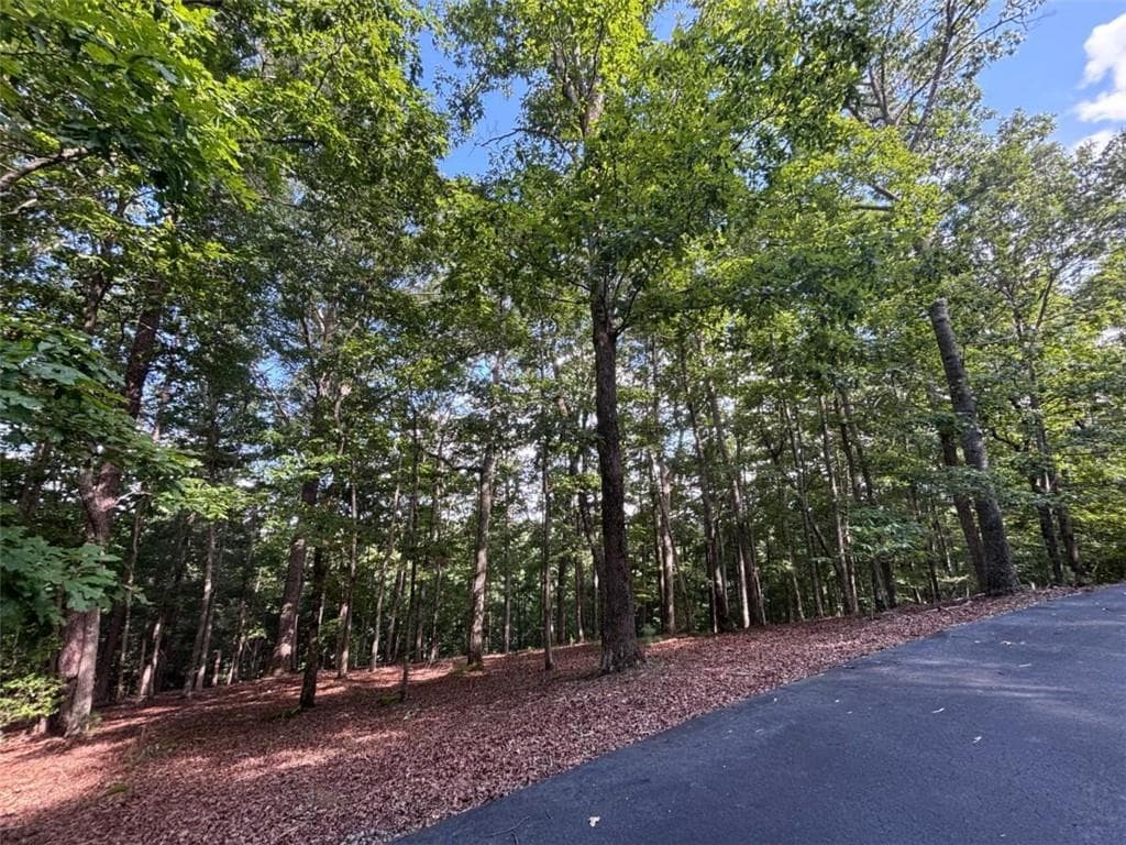 single family residence for sale at LOT 5 Westwood Avenue, Blairsville, GA 30512 — photo 3