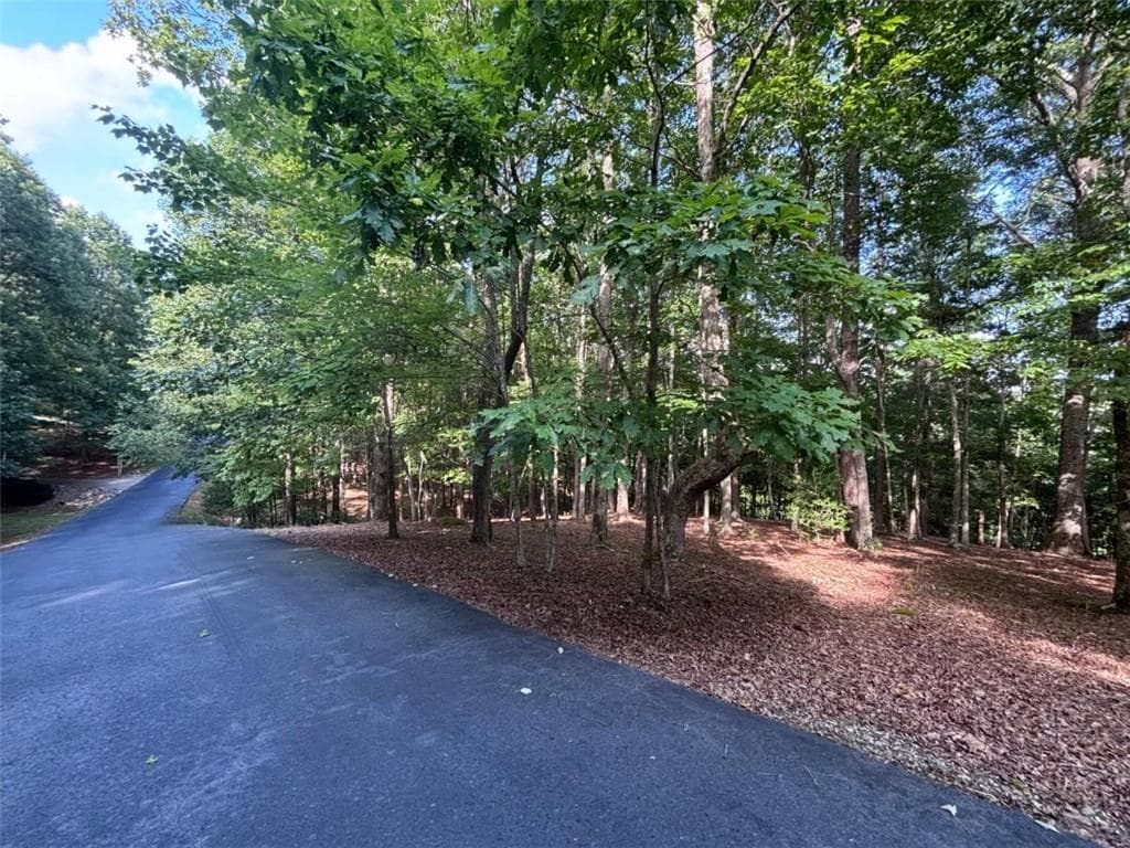 single family residence for sale at LOT 5 Westwood Avenue, Blairsville, GA 30512 — photo 4