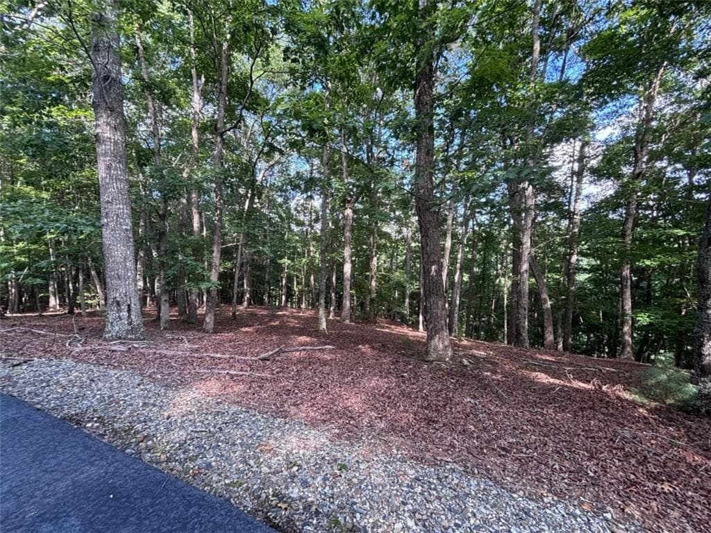 single family residence for sale at LOT 5 Westwood Avenue, Blairsville, GA 30512 — photo 5