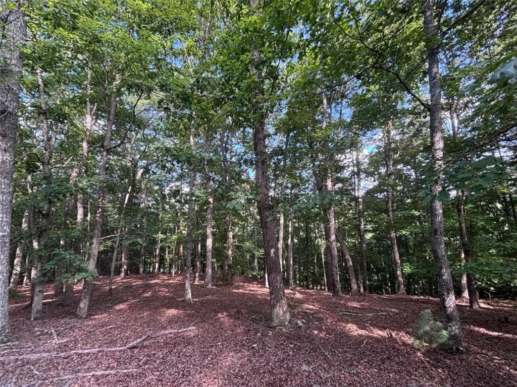 single family residence for sale at LOT 5 Westwood Avenue, Blairsville, GA 30512 — photo 6