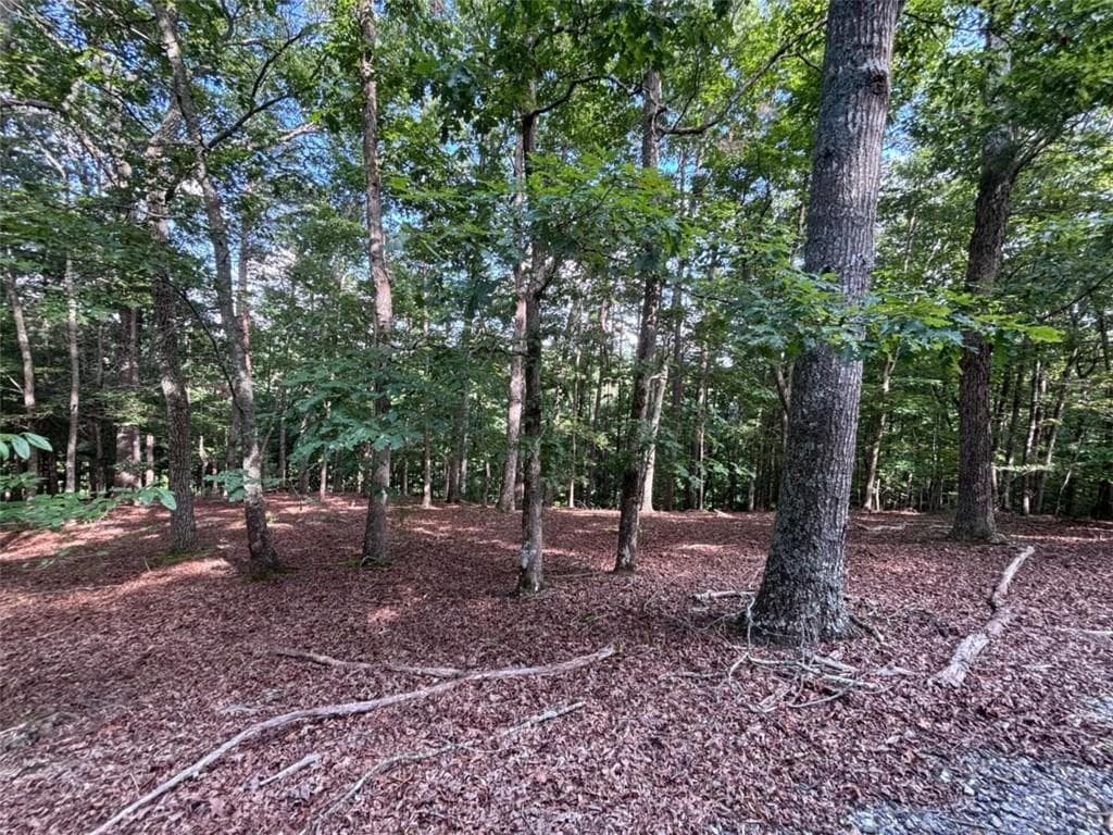single family residence for sale at LOT 5 Westwood Avenue, Blairsville, GA 30512 — photo 8