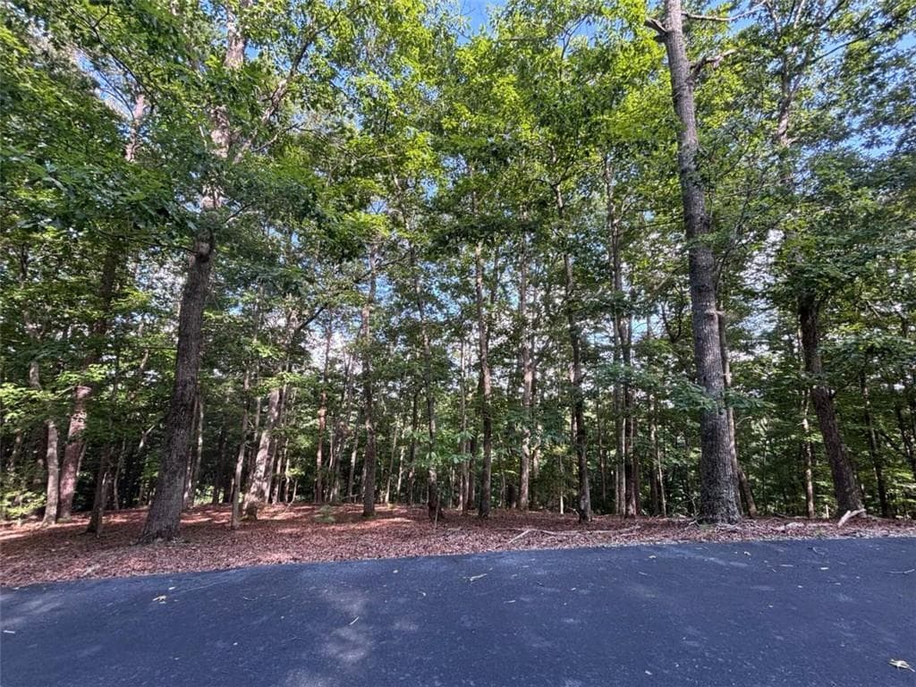 single family residence for sale at LOT 5 Westwood Avenue, Blairsville, GA 30512 — photo 9