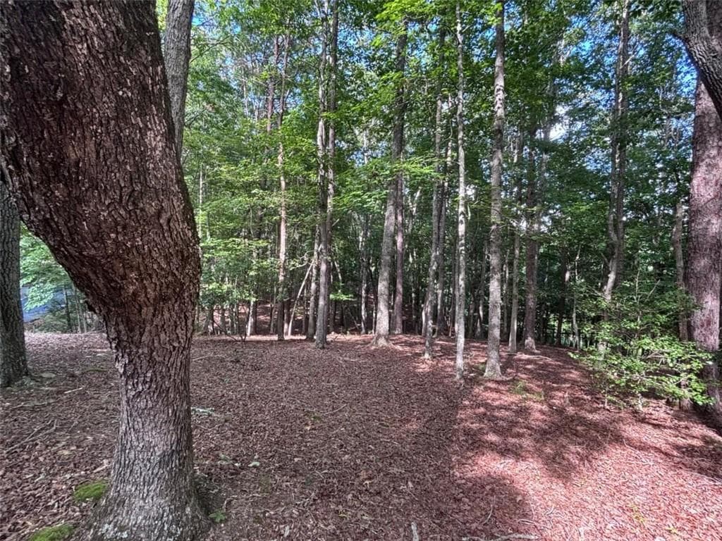single family residence for sale at LOT 5 Westwood Avenue, Blairsville, GA 30512 — photo 10