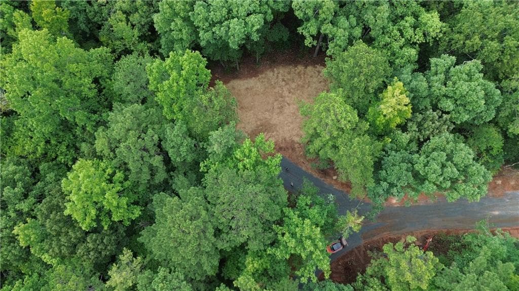 unimproved land for sale at 0 Roosevelt Highway, Warm Springs, GA 31830 — photo 8