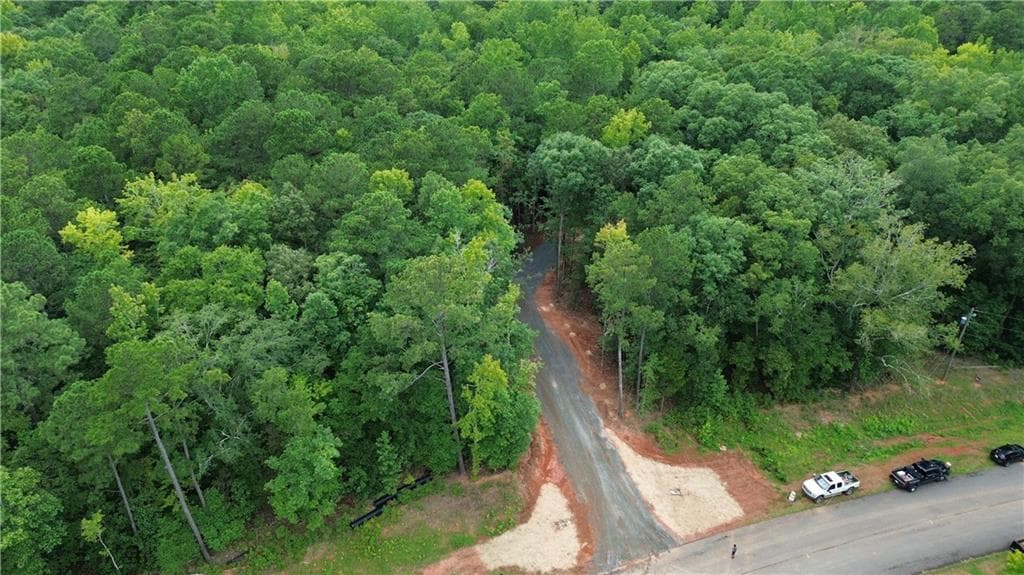unimproved land for sale at 0 Roosevelt Highway, Warm Springs, GA 31830 — photo 2