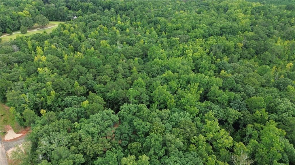 unimproved land for sale at 0 Roosevelt Highway, Warm Springs, GA 31830 — photo 5